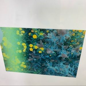 Lovely Star Original Photography Print